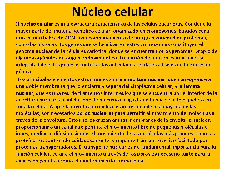 Núcleo celular El núcleo celular es una estructura característica de las células eucariotas. Contiene Núcleo celular El núcleo celular es una estructura característica de las células eucariotas. Contiene