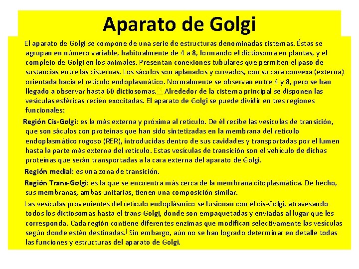 Aparato de Golgi El aparato de Golgi se compone de una serie de estructuras Aparato de Golgi El aparato de Golgi se compone de una serie de estructuras