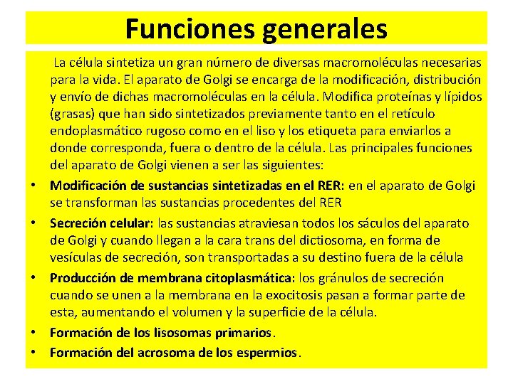 Funciones generales La célula sintetiza un gran número de diversas macromoléculas necesarias para la Funciones generales La célula sintetiza un gran número de diversas macromoléculas necesarias para la