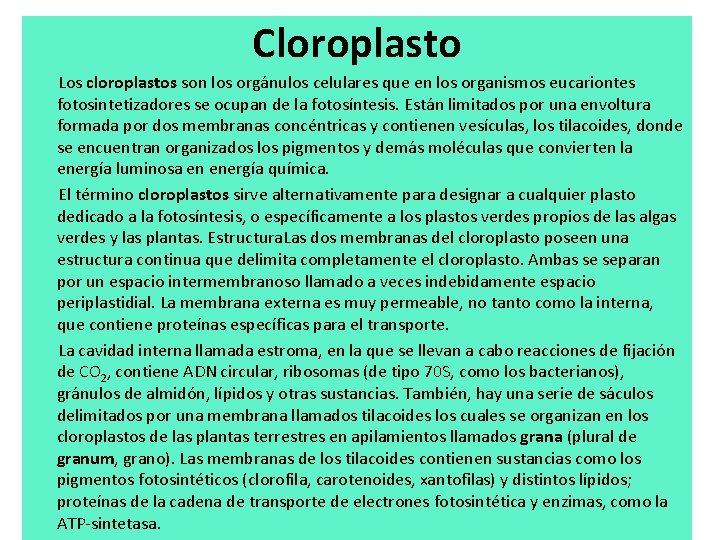 Cloroplasto Los cloroplastos son los orgánulos celulares que en los organismos eucariontes fotosintetizadores se Cloroplasto Los cloroplastos son los orgánulos celulares que en los organismos eucariontes fotosintetizadores se
