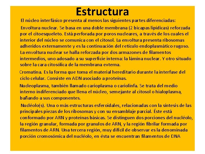 Estructura El núcleo interfásico presenta al menos las siguientes partes diferenciadas: Envoltura nuclear. Se Estructura El núcleo interfásico presenta al menos las siguientes partes diferenciadas: Envoltura nuclear. Se