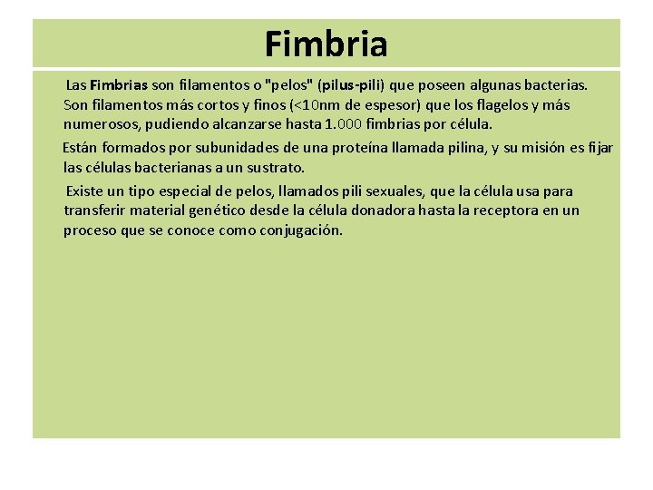 Fimbria Las Fimbrias son filamentos o "pelos" (pilus-pili) que poseen algunas bacterias. Son filamentos Fimbria Las Fimbrias son filamentos o "pelos" (pilus-pili) que poseen algunas bacterias. Son filamentos