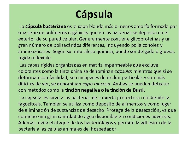 Cápsula La cápsula bacteriana es la capa blanda más o menos amorfa formada por Cápsula La cápsula bacteriana es la capa blanda más o menos amorfa formada por