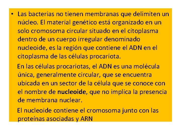 • Las bacterias no tienen membranas que delimiten un núcleo. El material genético • Las bacterias no tienen membranas que delimiten un núcleo. El material genético