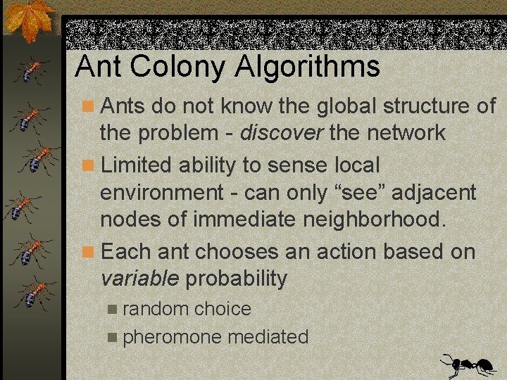 Ant Colony Algorithms n Ants do not know the global structure of the problem