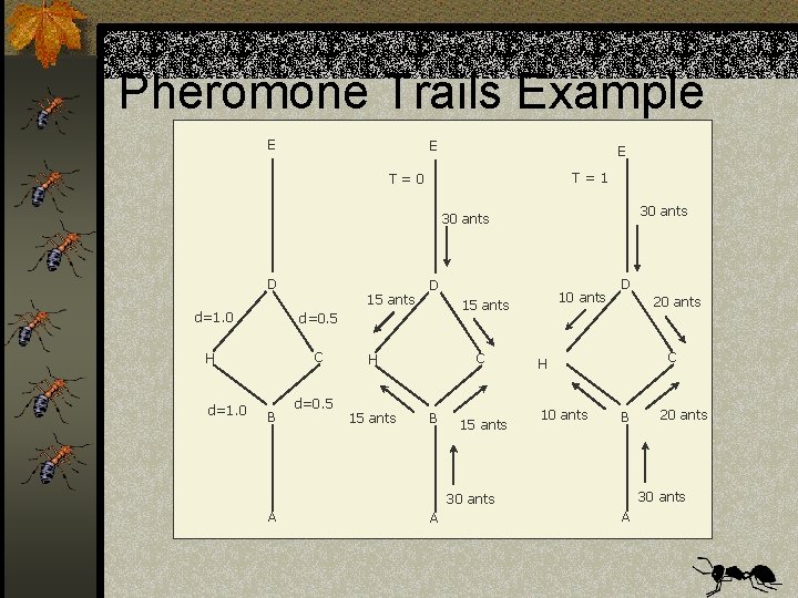 Pheromone Trails Example E E E T=1 T=0 30 ants D 15 ants d=1.