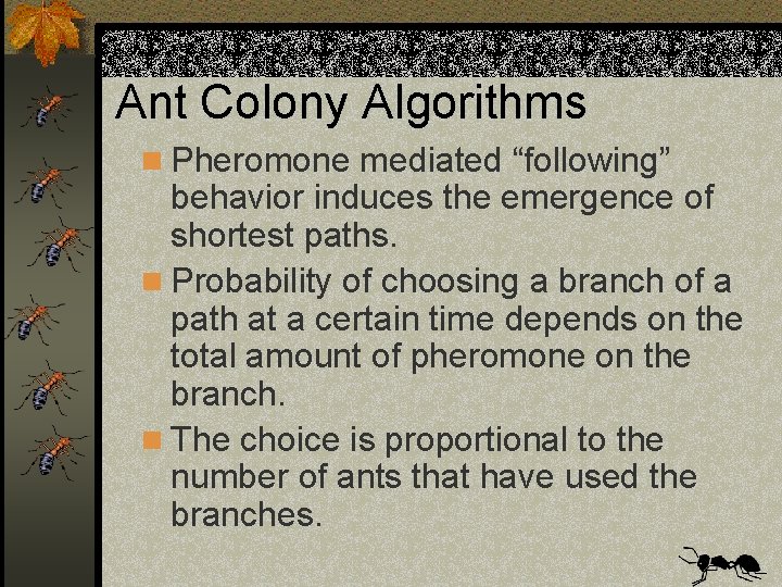 Ant Colony Algorithms n Pheromone mediated “following” behavior induces the emergence of shortest paths.