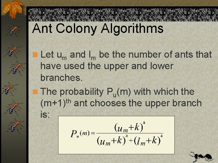 Ant Colony Algorithms n Let um and lm be the number of ants that