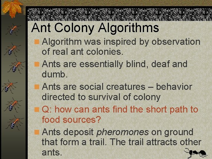 Ant Colony Algorithms n Algorithm was inspired by observation of real ant colonies. n