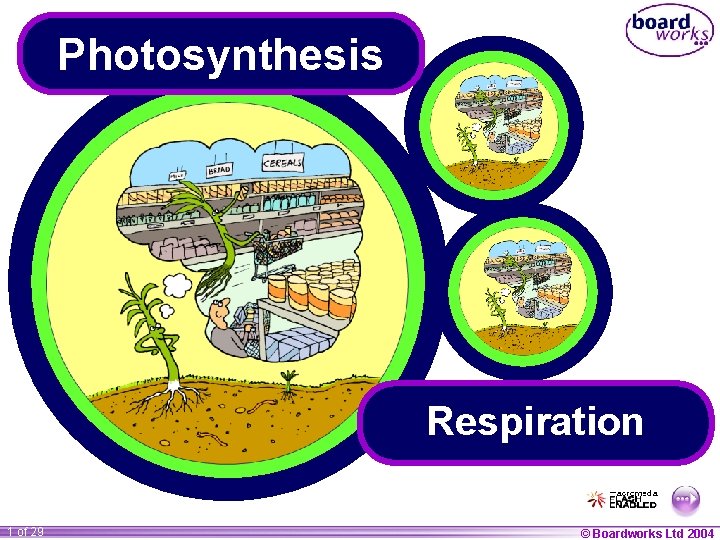 Photosynthesis Respiration 1 of 29 © Boardworks Ltd 2004 