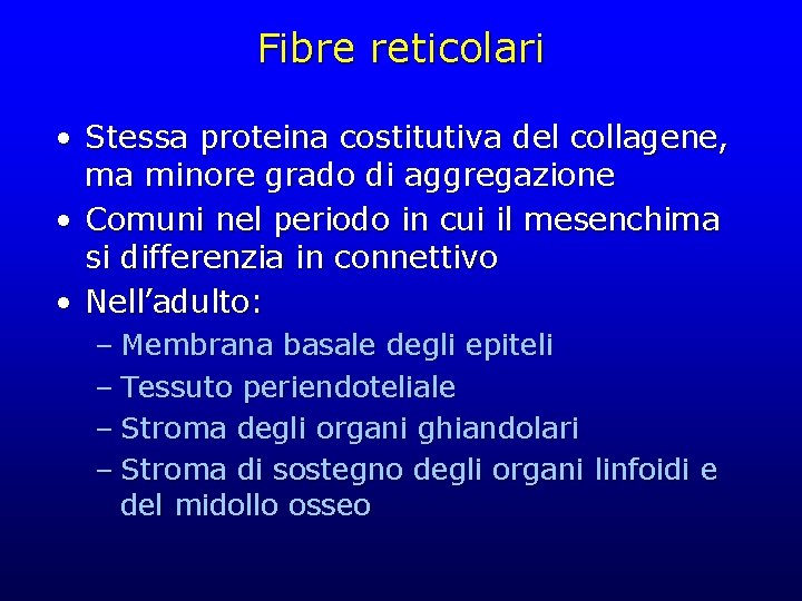 Fibre reticolari • Stessa proteina costitutiva del collagene, ma minore grado di aggregazione •