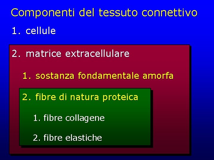 Componenti del tessuto connettivo 1. cellule 2. matrice extracellulare 1. sostanza fondamentale amorfa 2.