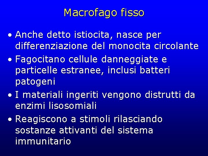 Macrofago fisso • Anche detto istiocita, nasce per differenziazione del monocita circolante • Fagocitano