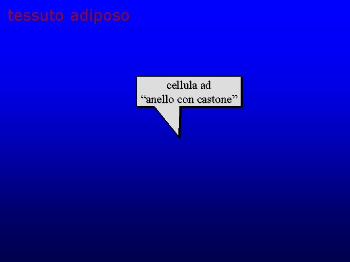 tessuto adiposo cellula ad “anello con castone” 