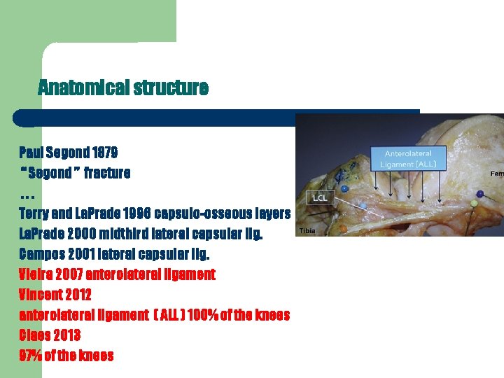 Anatomical structure Paul Segond 1879 “ Segond ” fracture. . . Terry and La.