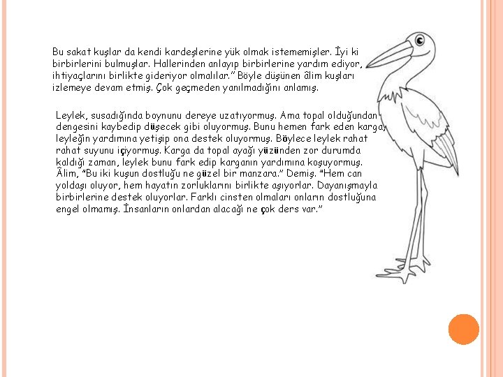 Bu sakat kuşlar da kendi kardeşlerine yük olmak istememişler. İyi ki birbirlerini bulmuşlar. Hallerinden