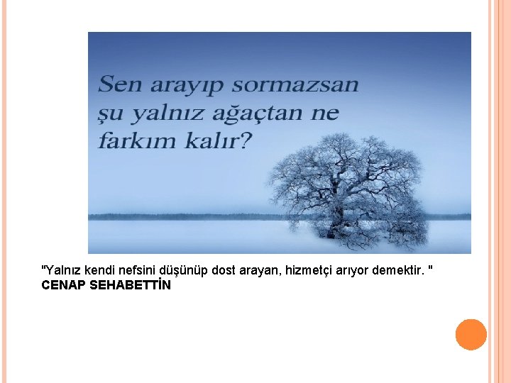 "Yalnız kendi nefsini düşünüp dost arayan, hizmetçi arıyor demektir. " CENAP SEHABETTİN 