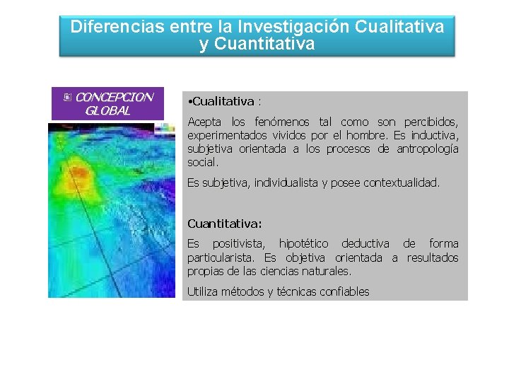 Diferencias entre la Investigación Cualitativa y Cuantitativa CONCEPCION GLOBAL • Cualitativa : Acepta los