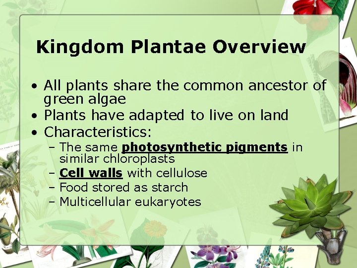 Kingdom Plantae Overview • All plants share the common ancestor of green algae •