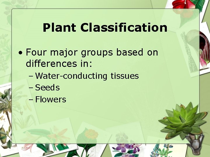 Plant Classification • Four major groups based on differences in: – Water-conducting tissues –