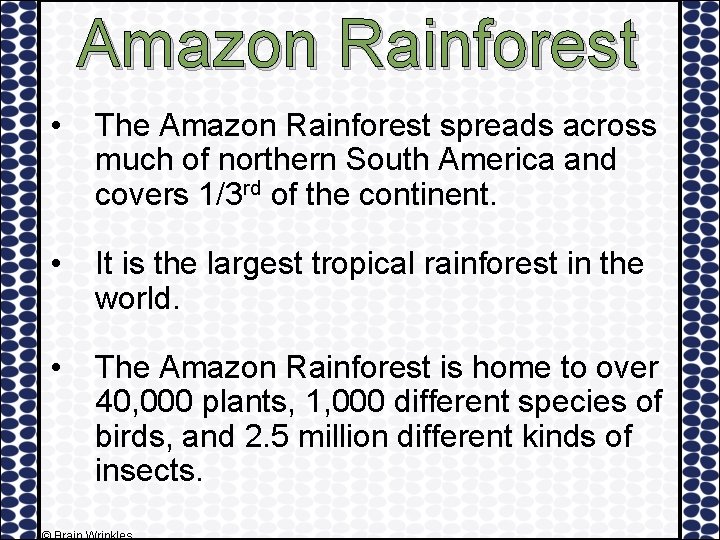 Amazon Rainforest • The Amazon Rainforest spreads across much of northern South America and