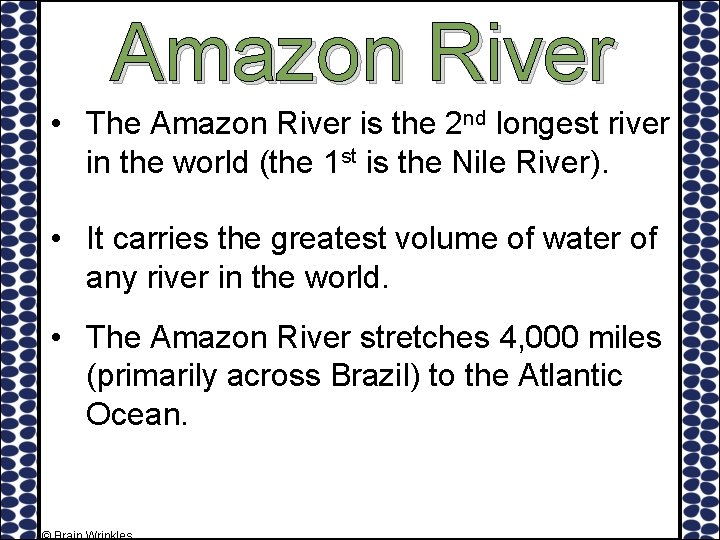 Amazon River • The Amazon River is the 2 nd longest river in the