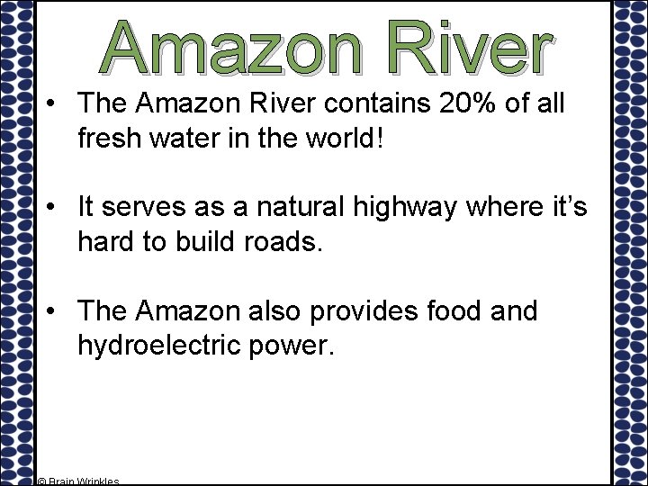 Amazon River • The Amazon River contains 20% of all fresh water in the