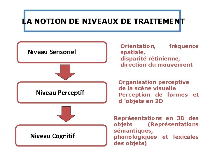LA NOTION DE NIVEAUX DE TRAITEMENT Niveau Sensoriel Niveau Perceptif Niveau Cognitif Orientation, fréquence LA NOTION DE NIVEAUX DE TRAITEMENT Niveau Sensoriel Niveau Perceptif Niveau Cognitif Orientation, fréquence