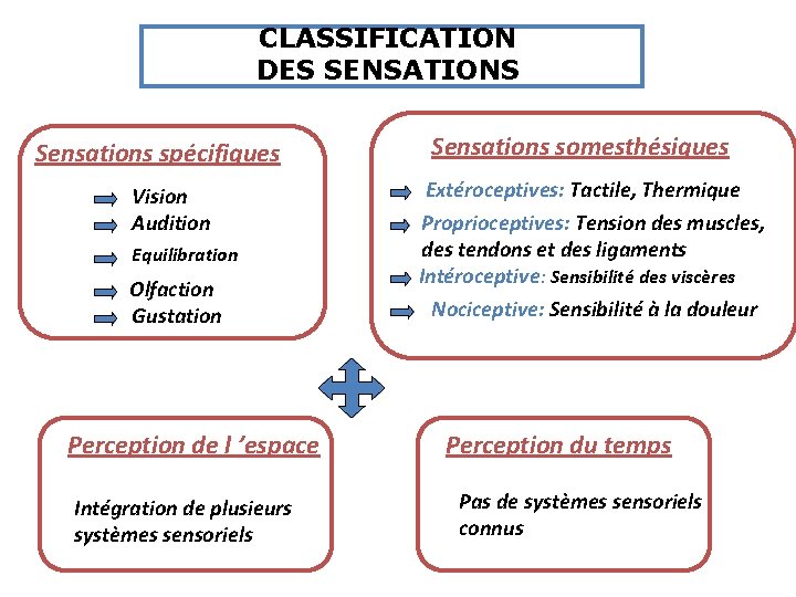 CLASSIFICATION DES SENSATIONS Sensations spécifiques Vision Audition Equilibration Olfaction Gustation Perception de l ’espace