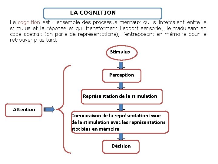 LA COGNITION La cognition est l ’ensemble des processus mentaux qui s ’intercalent entre