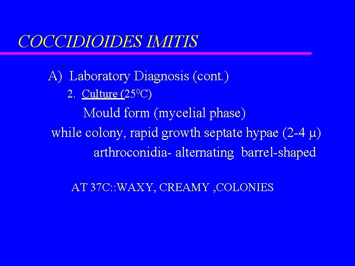 COCCIDIOIDES IMITIS A) Laboratory Diagnosis (cont. ) 2. Culture (250 C) Mould form (mycelial