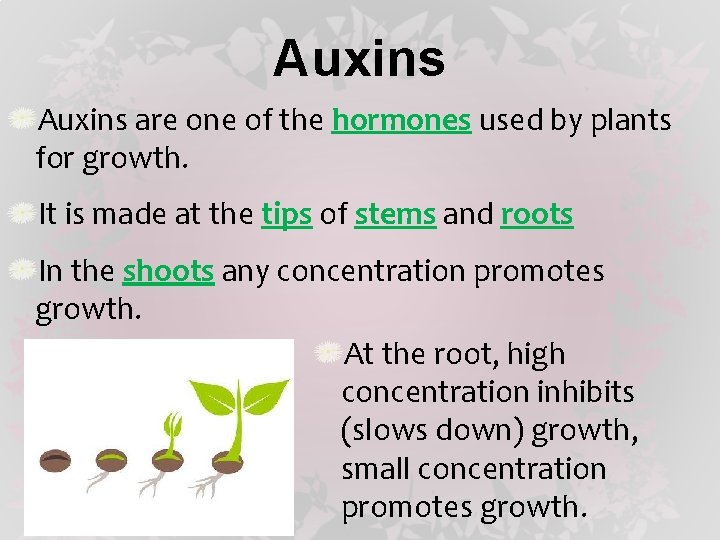 Auxins are one of the hormones used by plants for growth. It is made