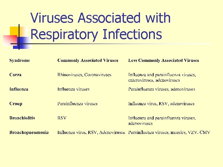 Viruses Associated with Respiratory Infections 