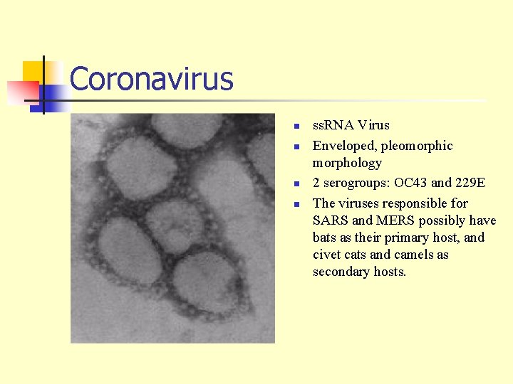 Coronavirus n n ss. RNA Virus Enveloped, pleomorphic morphology 2 serogroups: OC 43 and