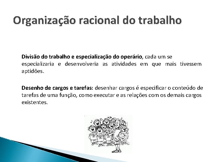 Organização racional do trabalho Divisão do trabalho e especialização do operário, cada um se