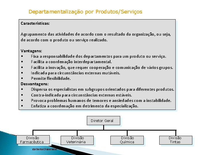 Departamentalização por Produtos/Serviços Características: Agrupamento das atividades de acordo com o resultado da organização,