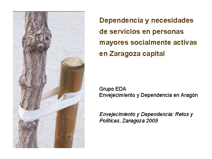 Dependencia y necesidades de servicios en personas mayores socialmente activas en Zaragoza capital Grupo