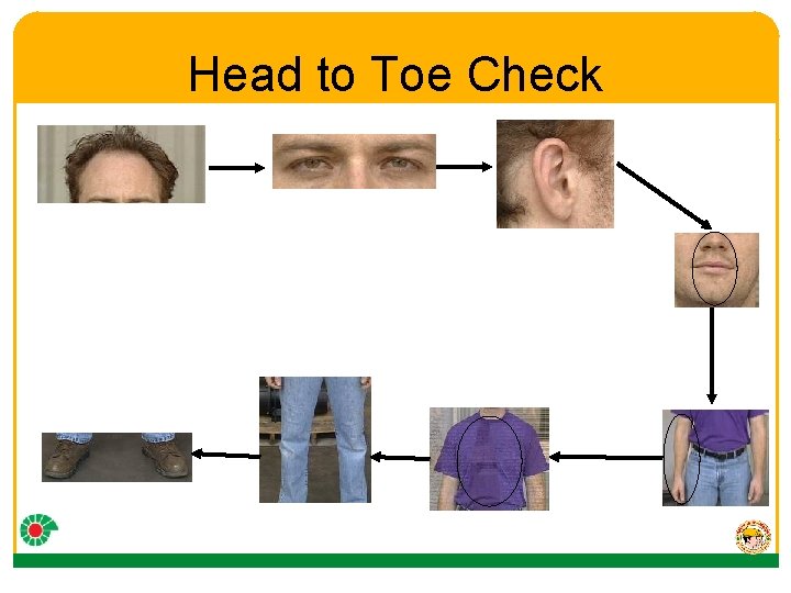 Head to Toe Check 