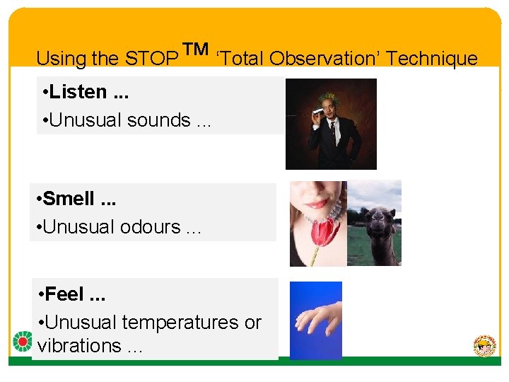 Using the STOP™ ‘Total Observation’ Technique • Listen. . . • Unusual sounds. .
