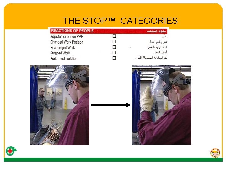 THE STOP™ CATEGORIES 