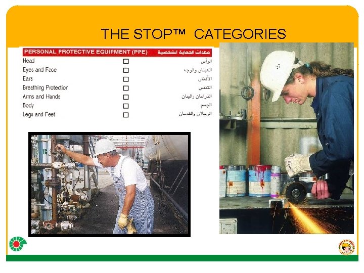 THE STOP™ CATEGORIES 