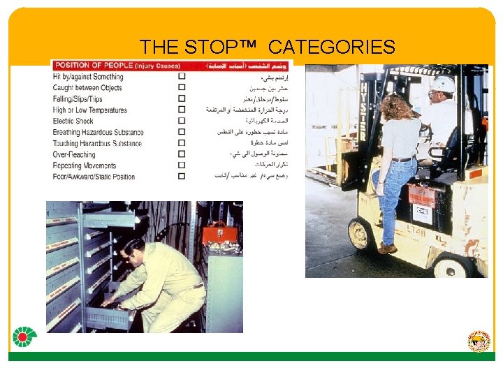 THE STOP™ CATEGORIES 