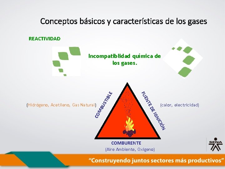 Conceptos básicos y características de los gases REACTIVIDAD (calor, electricidad) IÓN NIC CO IG