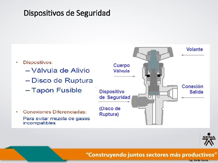 Dispositivos de Seguridad Ing. Emilio Osorio 