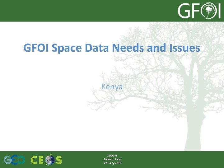 GFOI Space Data Needs and Issues Kenya SDCG-9 Frascati, Italy February 2016 