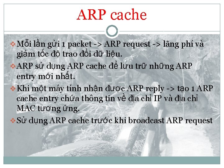 ARP cache v Mỗi lần gửi 1 packet -> ARP request -> lãng phí