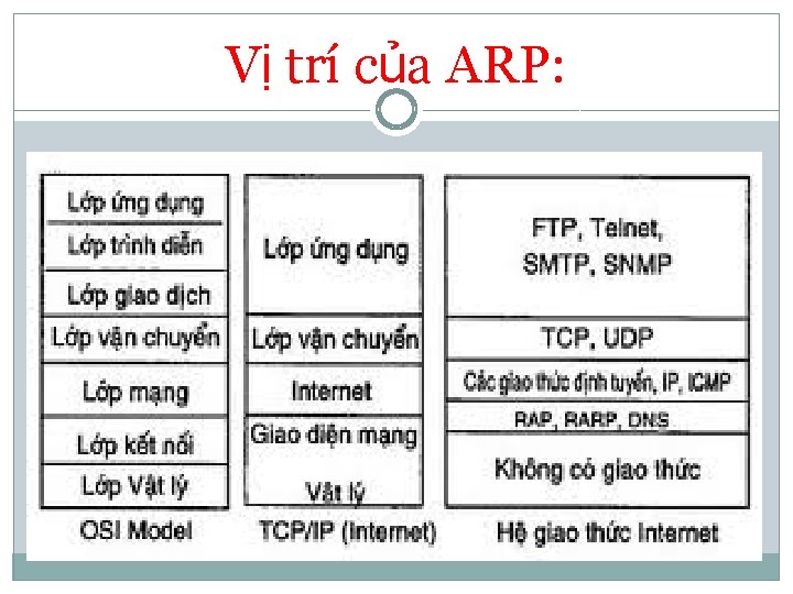 Vị trí của ARP: 