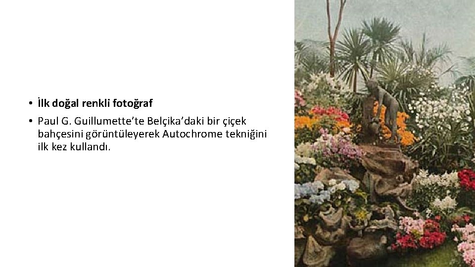 • İlk doğal renkli fotoğraf • Paul G. Guillumette’te Belçika’daki bir çiçek bahçesini • İlk doğal renkli fotoğraf • Paul G. Guillumette’te Belçika’daki bir çiçek bahçesini