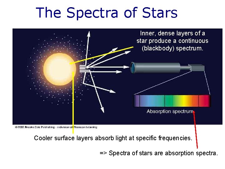The Spectra of Stars Inner, dense layers of a star produce a continuous (blackbody)