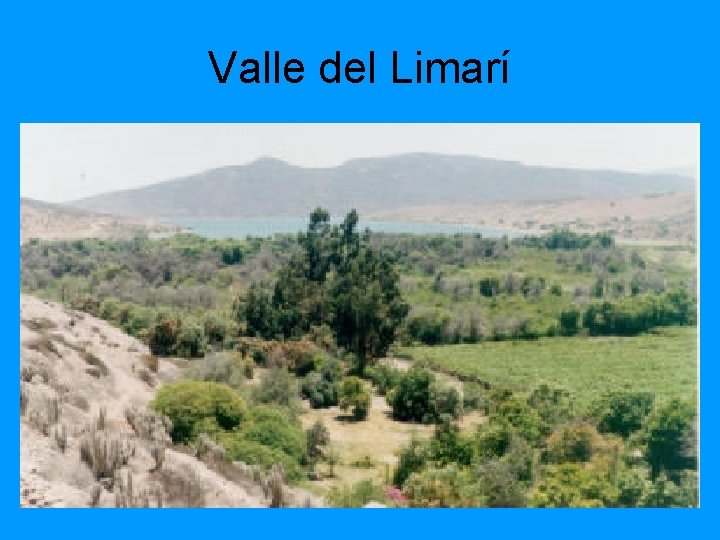 Valle del Limarí 